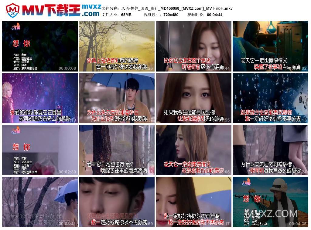 风语-想你_国语_流行_MD106058